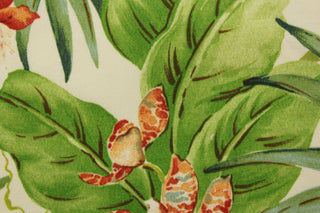 Featuring a vibrant Hawaiian tropical print with leaves and orchids in red, orange, green, off white, and purple on a creme background. With a durability of 36,000 double rubs, this fabric is great for&nbsp;<span data-mce-fragment="1">cushions, tablecloths, upholstery projects, decorative pillows and craft projects.&nbsp; Recommended to store away when not in use.</span>