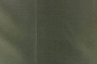 Taffeta fabric in iridescent green with gray undertones.