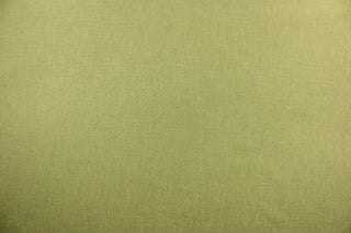 This poly/linen blend fabric in fern green offers beautiful design, style and color to any space in your home.  It is perfect for window treatments (draperies, valances, curtains, and swags), bed skirts, duvet covers, light upholstery, pillow shams and accent pillows.  We offer Obi in other colors.
