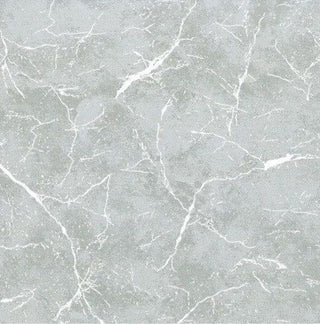 Andover Fabrics Pietra by Giucy Giuce Quilting Fabric in Pigeon