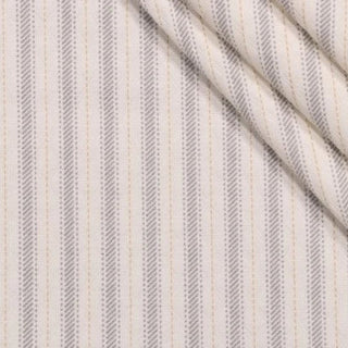 Richloom Ticking Outdoor Fabric in Pewter