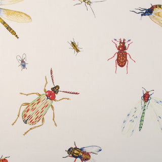 Duralee Insecta Imperialis Fabric in Cream