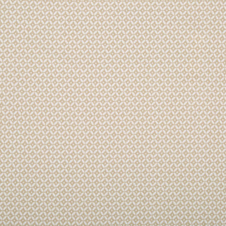 Robert Allen Nomad Mix Fabric in Linen