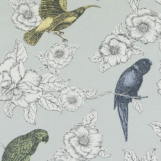 Thomas Paul Pappagalli Bird Toile Fabric in Dove