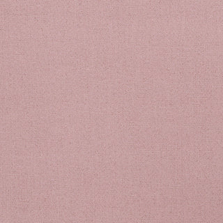 Livarot in Cherry Blossom