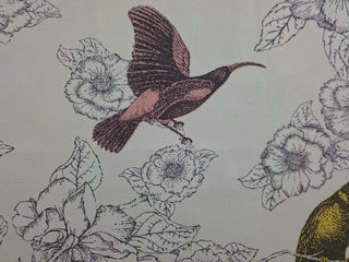 Thomas Paul Pappagalli Bird Toile Fabric in Multi 