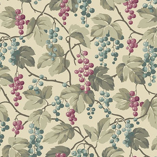 Andover Fabrics English Garden Quilting Fabric in Beige  