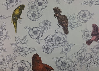 Thomas Paul Pappagalli Bird Toile Fabric in Multi 