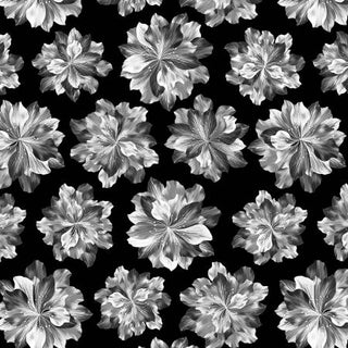 Benartex Midnight Paradise in Black  Quilting Fabric by Kanvas Studio