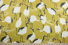 Load image into Gallery viewer, The Robert Allen© Winter Crane in Goldenrod features a combination of ivory and black, set against a golden background. This versatile piece, with its multi-purpose usage, is perfect for bringing a cozy and inviting atmosphere into your home. It can be used for several different statement projects including window accents (drapery, curtains and swags), toss pillows, headboards, bed skirts, duvet covers, light duty upholstery, and more.
