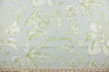 Load image into Gallery viewer, The Richloom Platinum Collection© Oliver fabric has been designed with a classic yet elegant design featuring a beautiful floral leaf vine pattern in shades of green and white. This multipurpose fabric offers outstanding durability and resistance to wear and tear.  It can be used for several different statement projects including window accents (drapery, curtains and swags), toss pillows, headboards, bed skirts, duvet covers, upholstery, and more.
