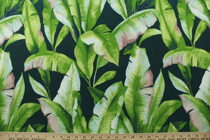 This Solarium outdoor decorative print features large banana leaves in shades of green, light blue, and hints of pink against an emerald green background.  This versatile, long-lasting fabric can withstand up to 500 hours of sunlight, water and stain resistant and has 15,000 double rubs.  It is perfect for lounge cushions, pool furniture, tablecloths, decorative pillows and upholstery projects. <span data-mce-fragment=