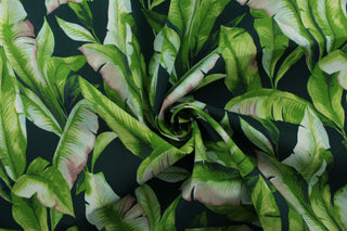 This Solarium outdoor decorative print features large banana leaves in shades of green, light blue, and hints of pink against an emerald green background.&nbsp; This versatile, long-lasting fabric can withstand up to 500 hours of sunlight, water and stain resistant and has 15,000 double rubs.&nbsp; It is perfect for lounge cushions, pool furniture, tablecloths, decorative pillows and upholstery projects. <span data-mce-fragment="1">Recommended to store away when not in use.</span>