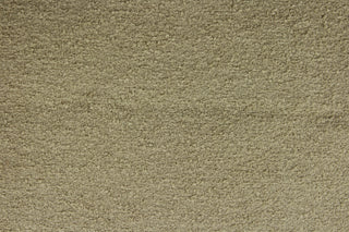 Robert Allen Contract© Popular BK Chenille Upholstery Fabric in Mojave Desert