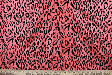 Load image into Gallery viewer, Our Leopard in Peach fabric offers a unique combination of style and comfort. The bold leopard print is textured and soft, making it ideal for drapery and apparel. Add a touch of style to your home décor or wardrobe with this stylish fabric.
