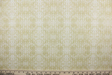Load image into Gallery viewer, Sweetness features a timeless damask pattern in yellow and white.  Perfect for any living space, it is sure to bring a splash of joy to your home. The high-quality cotton material ensures lasting durability and softness.  It would be great for apparel, quilting, crafting and sewing projects.  

