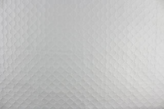 Carole Fabric Midway Winter Fabric in White
