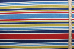 Robert Allen© Mod Layout in Fiesta is a multi-purpose fabric that features multicolored stripes in shades of blue, red, white, and mustard yellow.  The fabric is treated with a soil and stain repellant finish to ensure long lasting durability, with a rating of 30,000 double rubs.  It can be used for several different statement projects including window accents (drapery, curtains and swags), toss pillows, headboards, bed skirts, duvet covers and upholstery. 