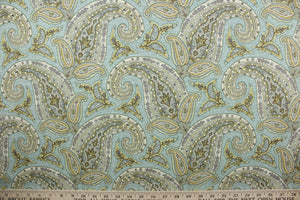 The Robert Allen© Paisley in Dew fabric is a classic paisley design with stylish colors - aqua, teal, gold, and gray. This multi-use fabric has a durable crypton finish, making it resistant to stains, moisture and odors, and with a 30,000 double rubs rating for long-lasting quality.  It can be used for several different statement projects including window accents (drapery, curtains and swags), toss pillows, headboards, bed skirts, duvet covers and upholstery. 