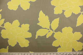 This Robert Allen© New Peony in Canary Taupe is a multi-use fabric that features large peony flowers in canary yellow and white against a dark taupe background. The fabric is finished with a soil and stain repellant treatment, making it a durable and long-lasting choice.  It can be used for several different statement projects including window accents (drapery, curtains and swags), toss pillows, headboards, bed skirts, duvet covers and upholstery. 