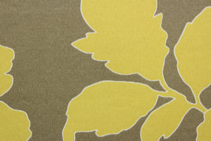 This Robert Allen© New Peony in Canary Taupe is a multi-use fabric that features large peony flowers in canary yellow and white against a dark taupe background. The fabric is finished with a soil and stain repellant treatment, making it a durable and long-lasting choice.  It can be used for several different statement projects including window accents (drapery, curtains and swags), toss pillows, headboards, bed skirts, duvet covers and upholstery. 