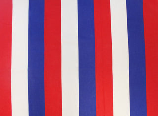 Timeless Treasures Patriotic Stripe Quilting Fabric in Red/White/Blue