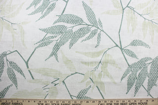 The Robert Allen© Enclave in Grassland fabric, a vision of earthy, natural beauty designed with multiuse versatility.  Boasting a bold botanical print in shades of green on a white/light gray background, this fabric offers 30,000 double rubs of durability and is soil and stain resistant.   It can be used for several different statement projects including window accents (drapery, curtains and swags), toss pillows, headboards, bed skirts, duvet covers, upholstery, and more.