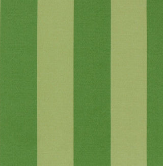 Richloom Solarium Preview Cabana Stripe Outdoor Fabric in Leaf