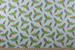 Daydream by Tula Pink - MaCaw Ya Later in Cloud for FreeSpirit Fabrics 