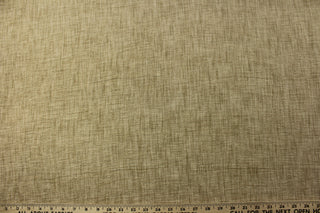 P Kaufmann© Douglas in Linen is a multipurpose, woven chenille fabric in a creamy tan color. Its durable construction and versatile use make it a practical choice for all your projects. Great for upholstery projects including sofas, chairs, dining chairs, pillows, handbags and craft projects.&nbsp;&nbsp;