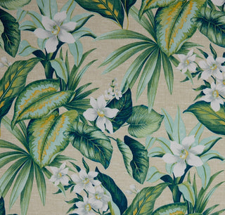 Richloom Solarium Tahiti Outdoor Fabric in Breeze