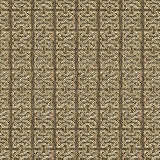 Barbara Berry Ceylon Key Embroidered Fretwork Fabric in Darjeeling