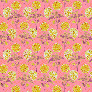 Anna Maria Horner Our Fair Home Trellis in Peach
