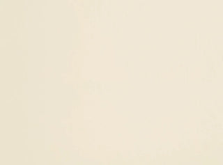 Beacon Hill Cashmere Solid Fabric in Lambswool