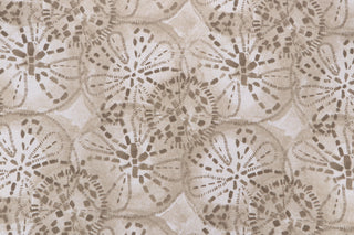 Lacefield Designs Sand Dollar Fabric in Sand