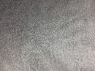 Eastern Accents Sirens Cut Velvet Fabric in Platinum