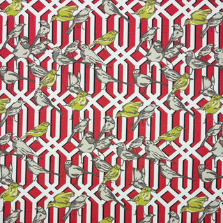 Robert Allen Aviary Trellis Fabric in Poppy