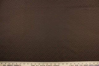 This duo tone fabric in brown is great for home decor such as multi- purpose upholstery, window treatments, pillows, duvet covers, tote bags and more.  It has a soft workable feel yet is stable and durable with a rating of 15,000 double rubs.  