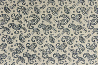 A fun paisley design in basic color of  blue set against a cream background. 