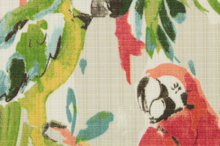 This multi use printed fabric features bright colored parrots perched on lush jungle branches.  Colors included are red, yellow, blue, brown and green on an off white background.  Perfect for window treatments, decorative pillows, handbags, light duty upholstery applications and almost any craft project.  This fabric has a soft workable feel yet is stable and durable.