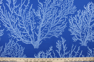 Keywest is a multi use fabric featuring a sea coral design in white against a marine blue background.  It is perfect for window treatments, decorative pillows, custom cushions, bedding, light duty upholstery applications and almost any craft project.  This fabric has a soft workable feel yet is stable and durable.