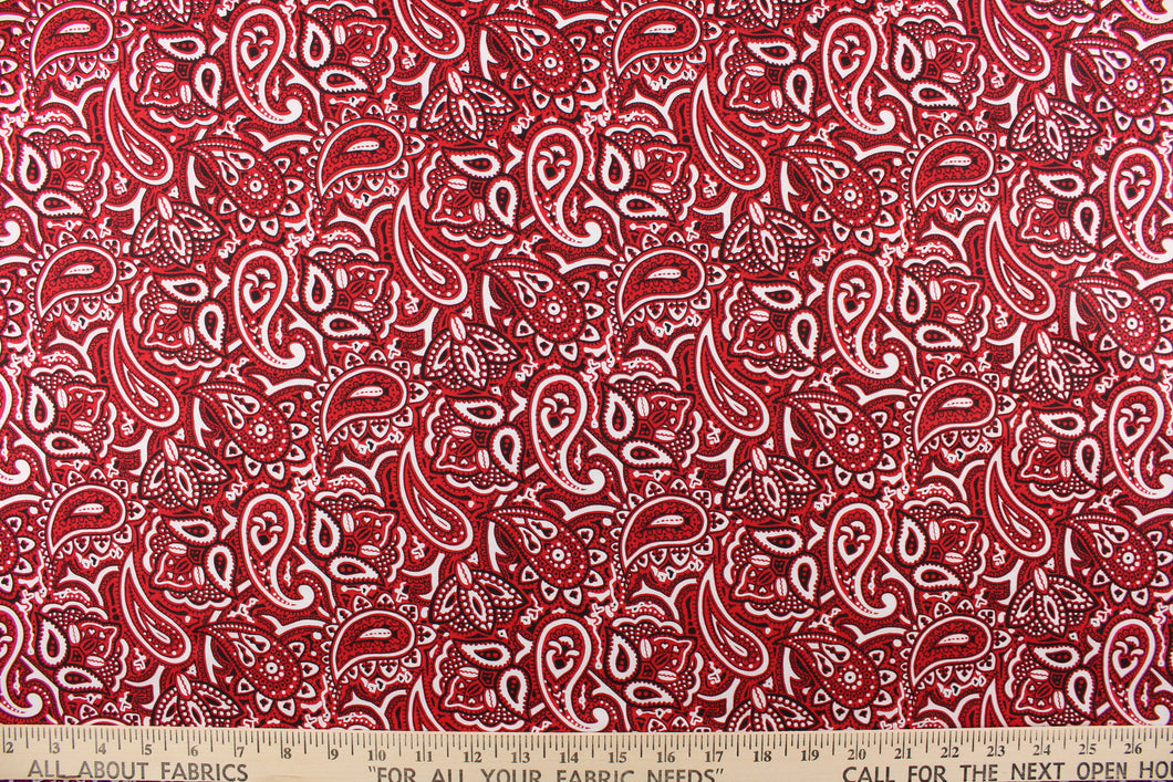 This cute and soft cotton paisley bandana design in red, and white with black outline. 
