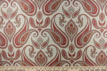 Load image into Gallery viewer,  This Jacquard paisley print fabric is set against a light green background.    Colors included are red berry, taupe and green.
