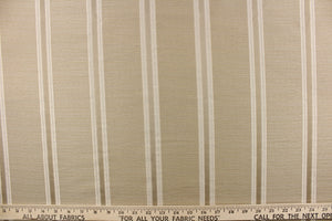 This rich woven yarn dyed fabric features bold striped pattern in champagne or cream against a light khaki. 