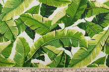 Load image into Gallery viewer, This indoor/outdoor fabric features tropical palm leaves set against a white background and is perfect for any project where the fabric will be exposed to the weather. 
