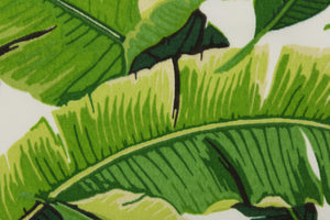 This indoor/outdoor fabric features tropical palm leaves set against a white background and is perfect for any project where the fabric will be exposed to the weather. 