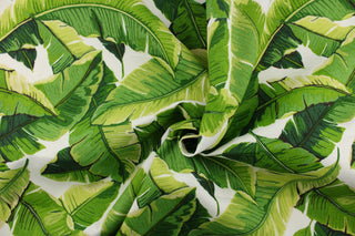 This indoor/outdoor fabric features tropical palm leaves set against a white background and is perfect for any project where the fabric will be exposed to the weather. 