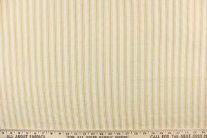  This printed jacquard fabric features a vertical stripe design in light khaki against an off white background.