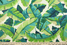 Load image into Gallery viewer,  This indoor/outdoor fabric features tropical palm leaves set against a solid background and is perfect for any project where the fabric will be exposed to the weather.  Colors include white, beige, opal and shades of green.
