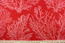 Load image into Gallery viewer, This fabric features white seacoral on a red background and is perfect for any project where the fabric will be exposed to the weather.
